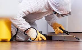 Best Fumigation Services  in King City, CA